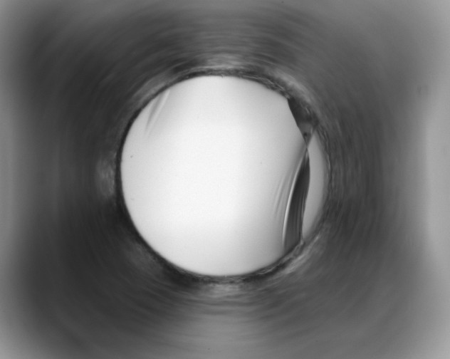 X0000088041409200706081600