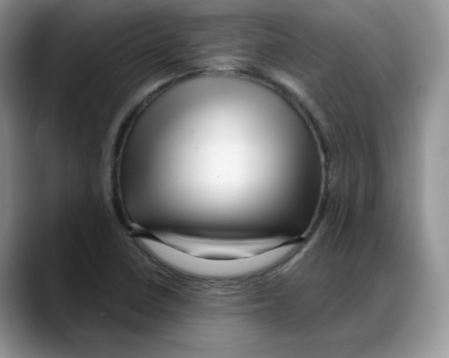 X0000088041410200706081600