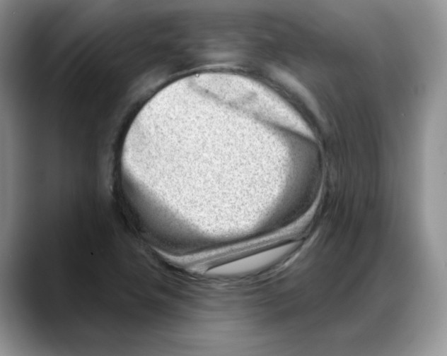 X0000088041411200706081600