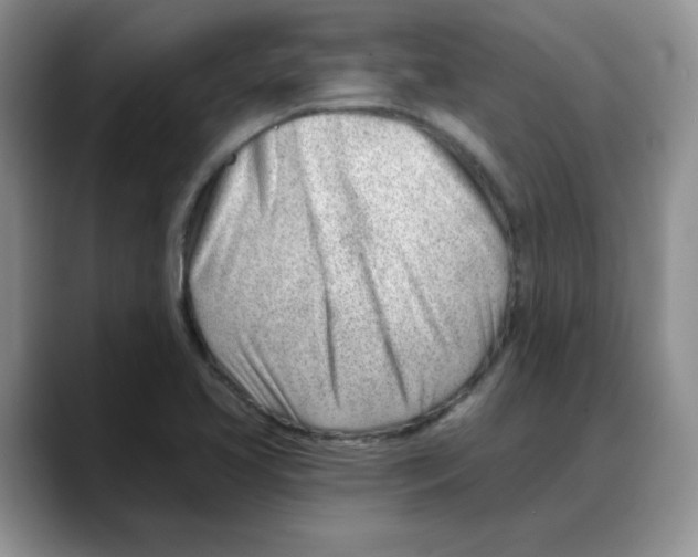 X0000088041413200706081600