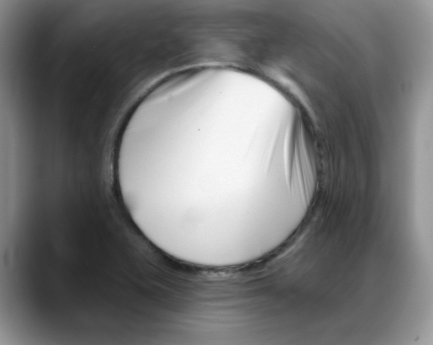 X0000088041415200706081600