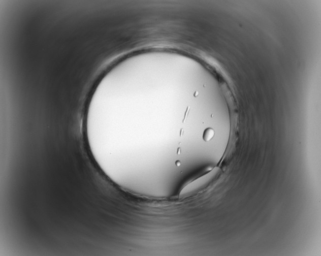 X0000088041416200706081600