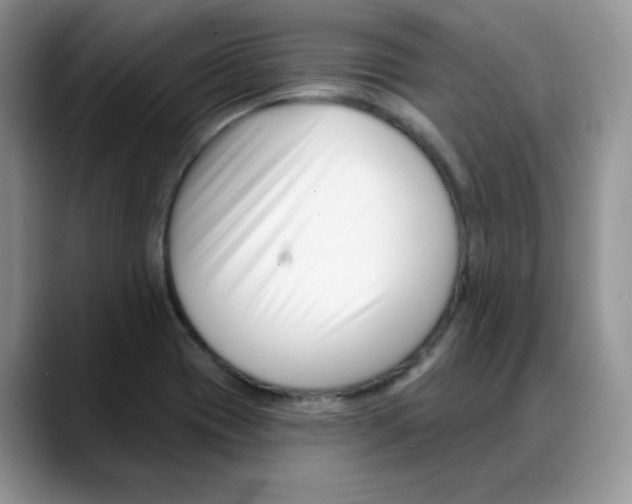 X0000088041417200706081600