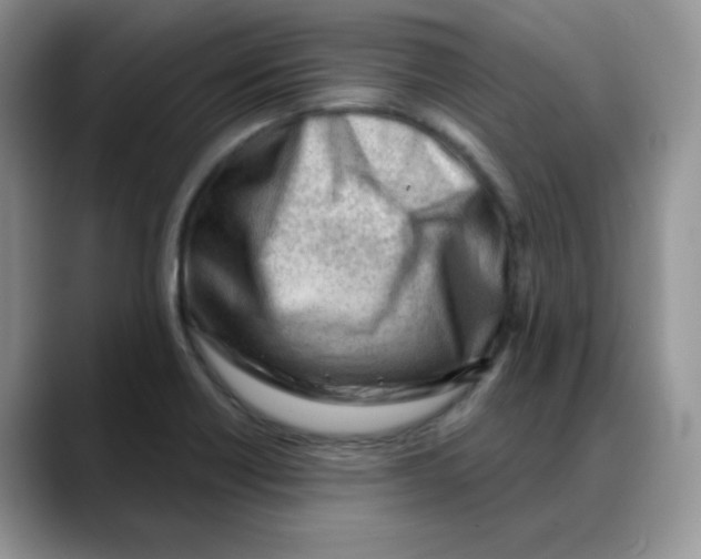 X0000088041418200706081600