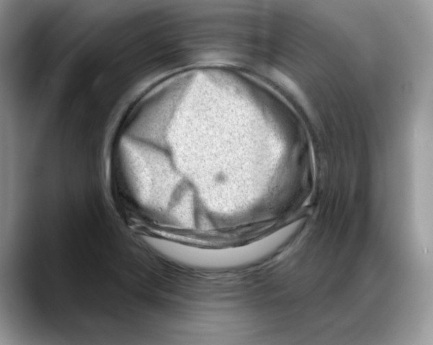 X0000088041419200706081600