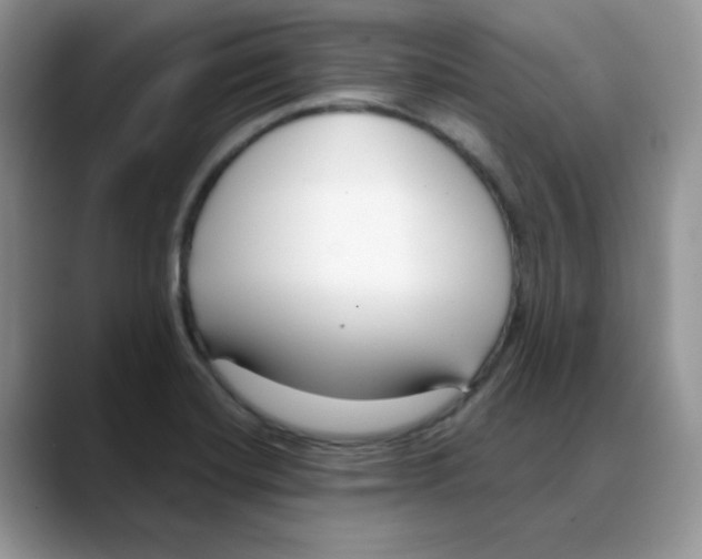 X0000088041420200706081600