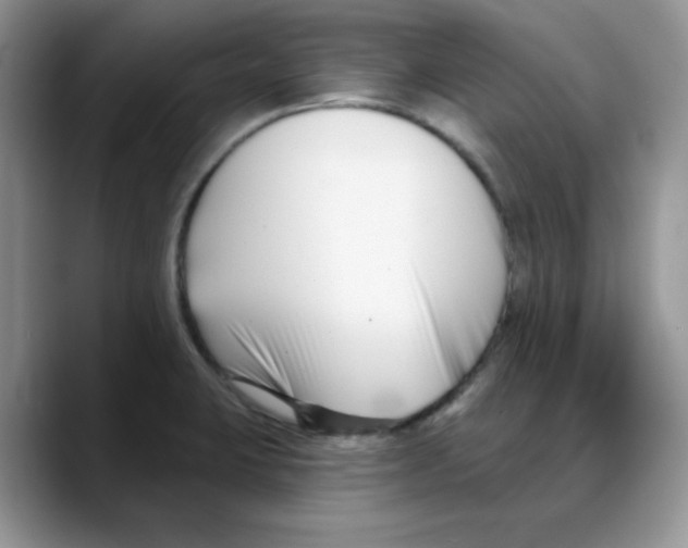 X0000088041423200706081600