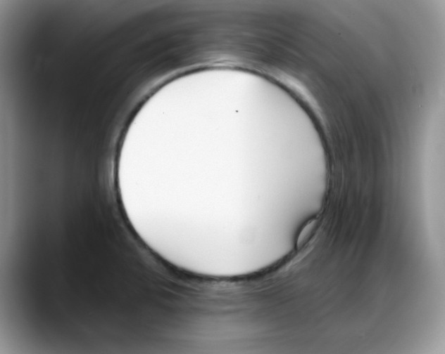 X0000088041424200706081600