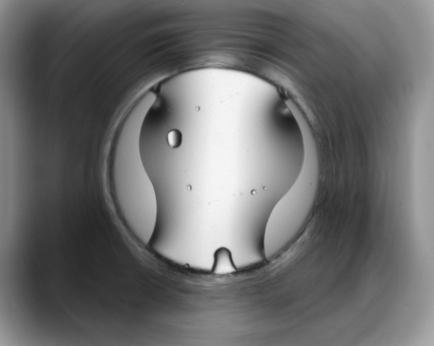 X0000088041426200706081600