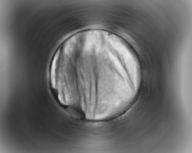 X0000088041428200706081600