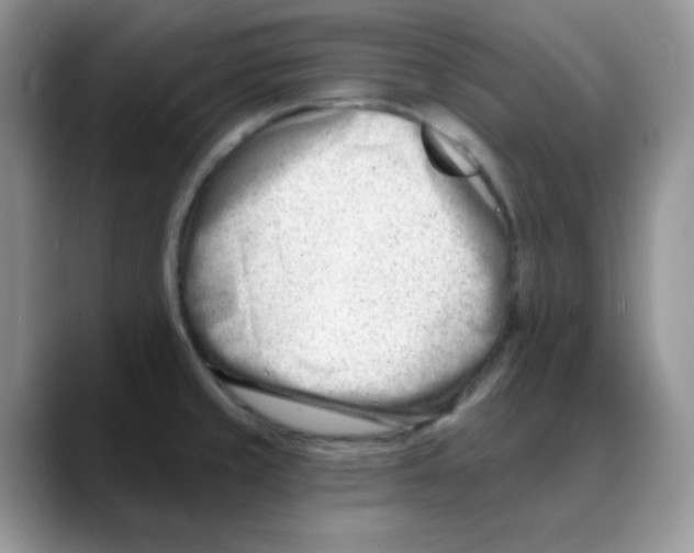 X0000088041429200706081600