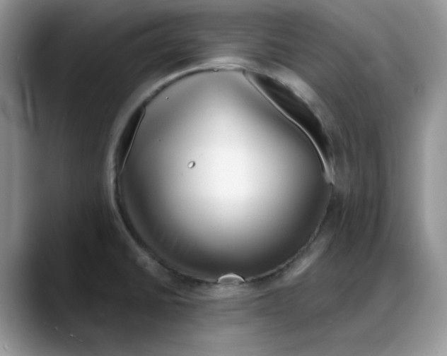 X0000088041430200706081600