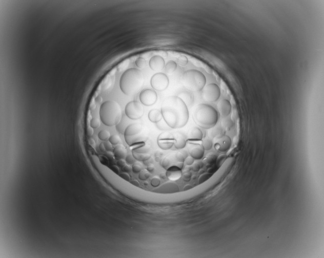 X0000088041432200706081600