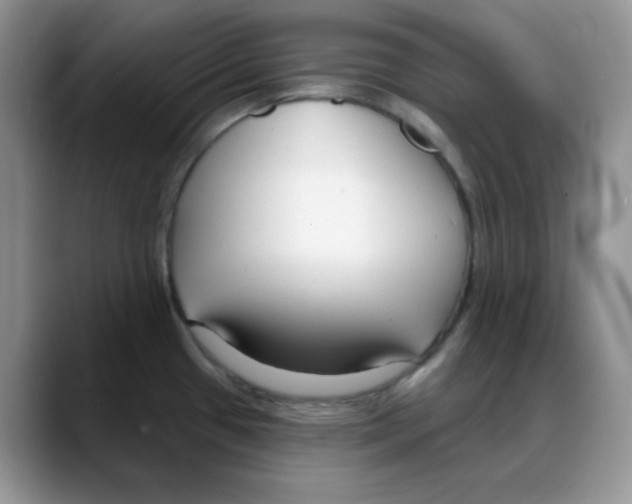 X0000088041433200706081600