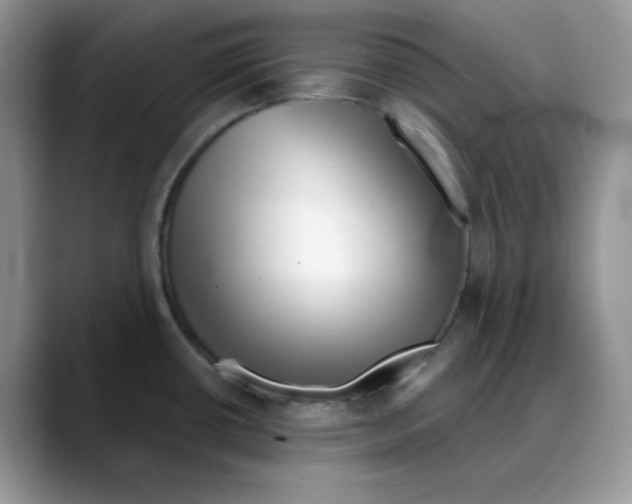 X0000088041434200706081600