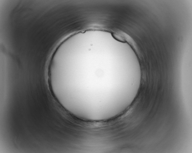 X0000088041435200706081600