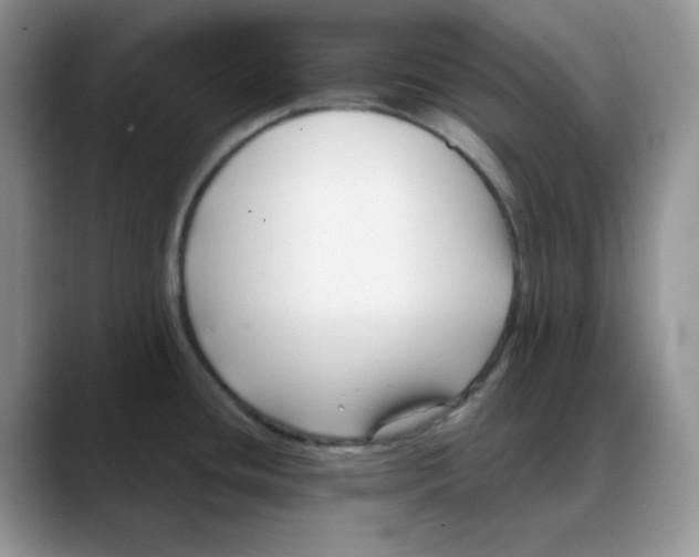 X0000088041436200706081600