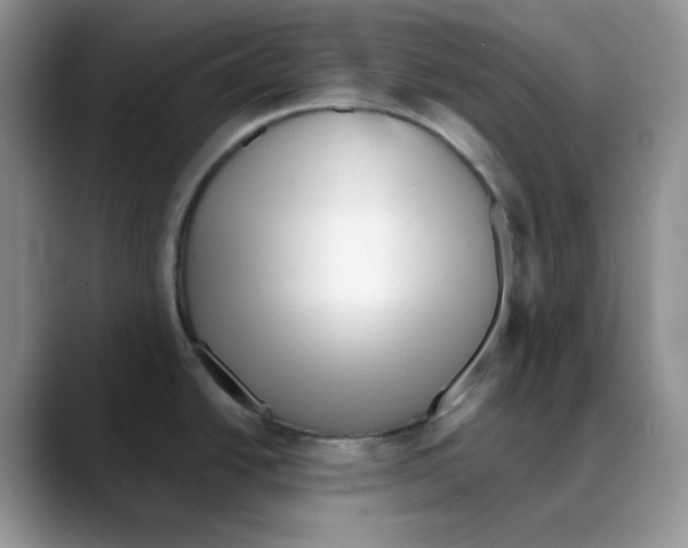 X0000088041438200706081600