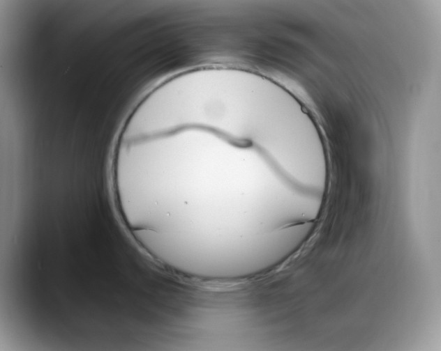 X0000088041440200706081600