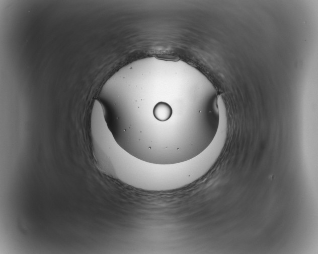 X0000088041441200706081600