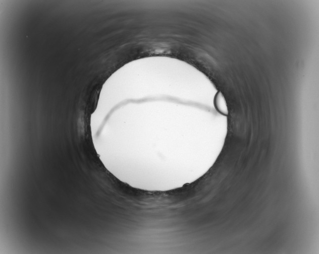 X0000088041442200706081600