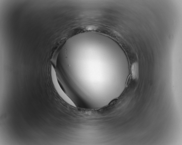 X0000088041443200706081600