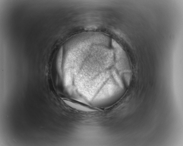 X0000088041445200706081600