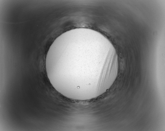 X0000088041446200706081600