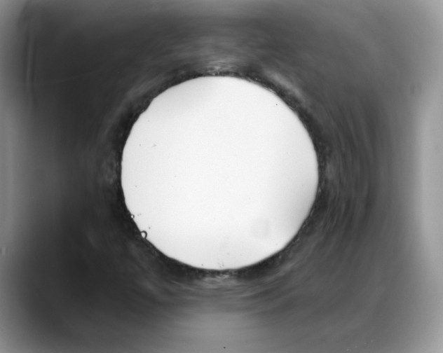 X0000088041447200706081600