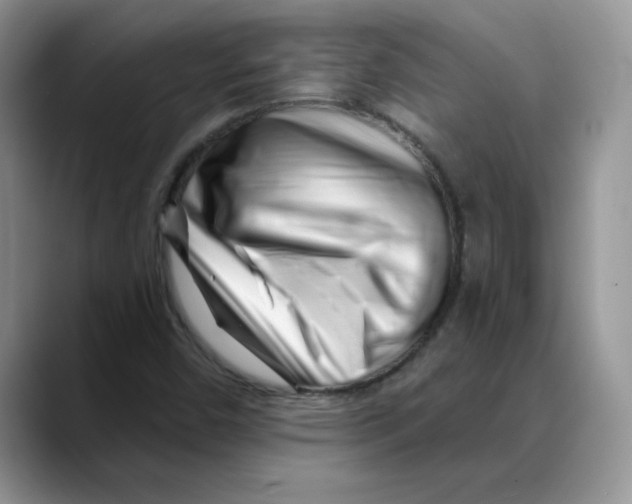 X0000088041450200706081600