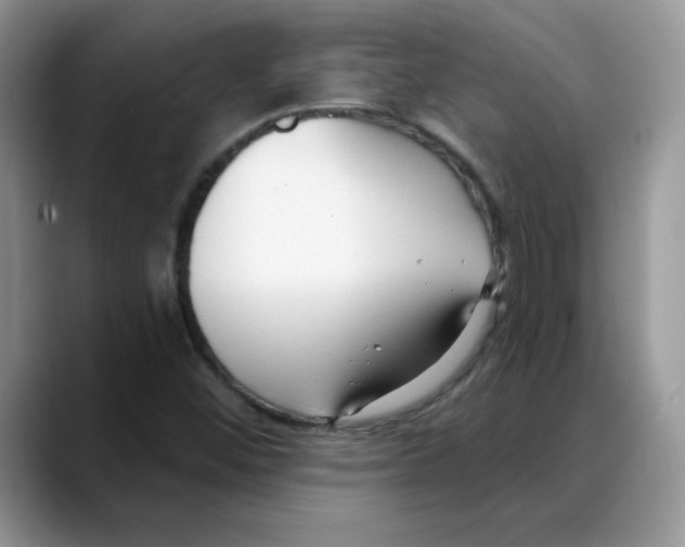 X0000088041452200706081600