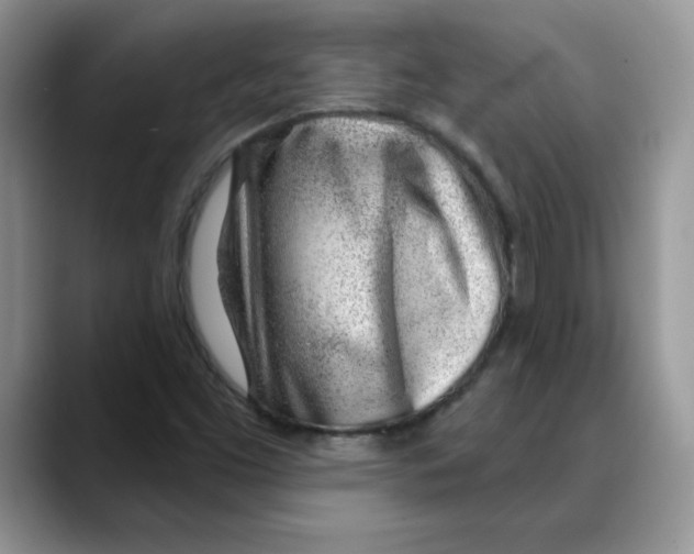 X0000088041453200706081600