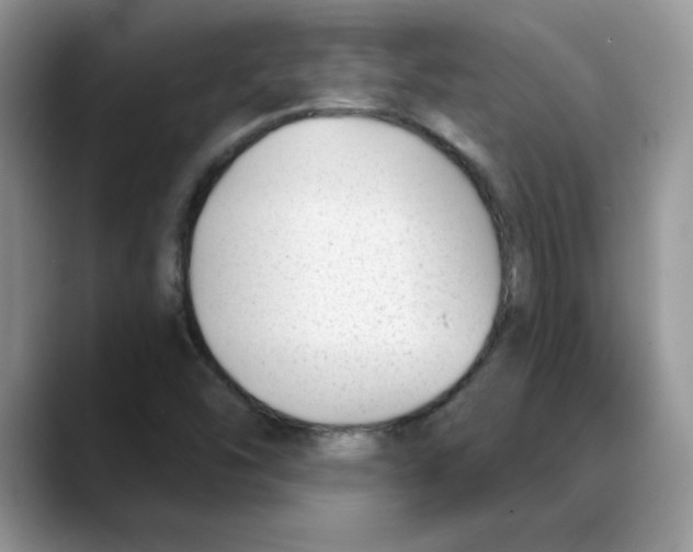 X0000088041454200706081600