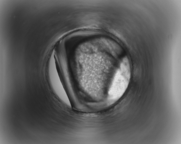 X0000088041455200706081600