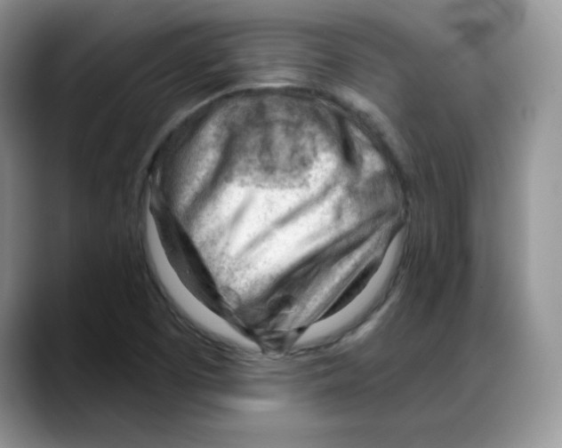 X0000088041457200706081600