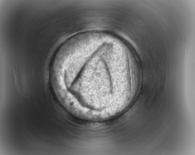 X0000088041459200706081559