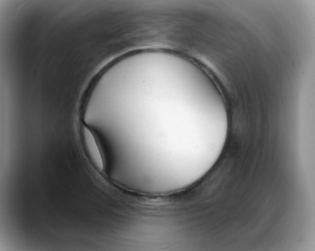 X0000088041460200706081559