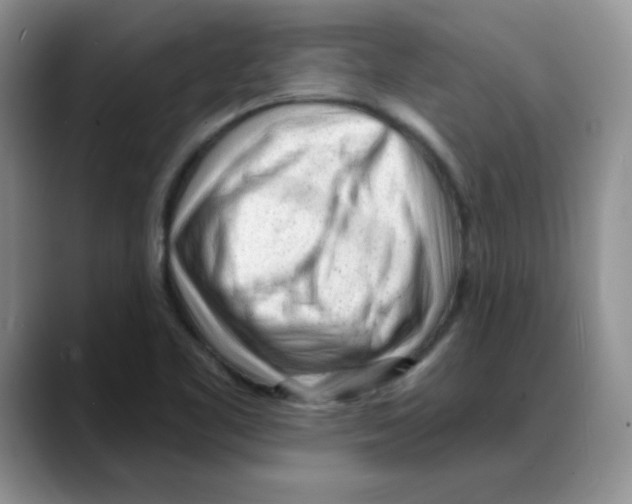 X0000088041461200706081559