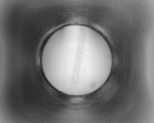 X0000088041462200706081559