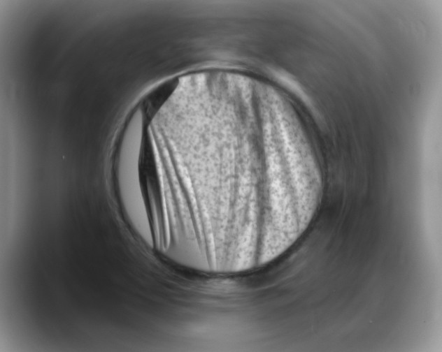 X0000088041463200706081559