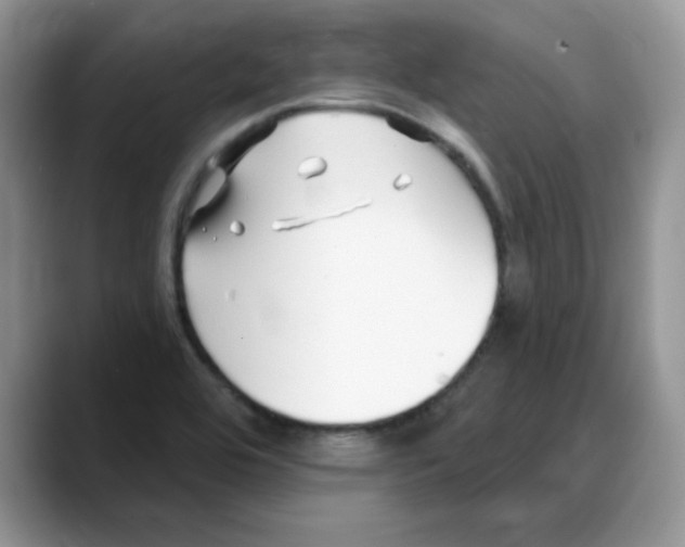 X0000088041464200706081559