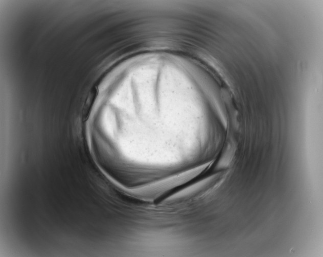 X0000088041465200706081559