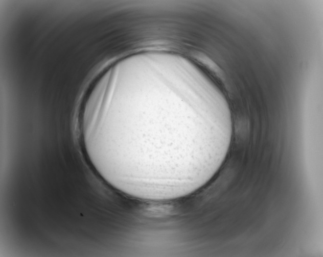 X0000088041466200706081559