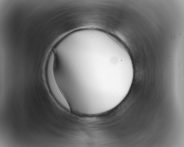 X0000088041468200706081559