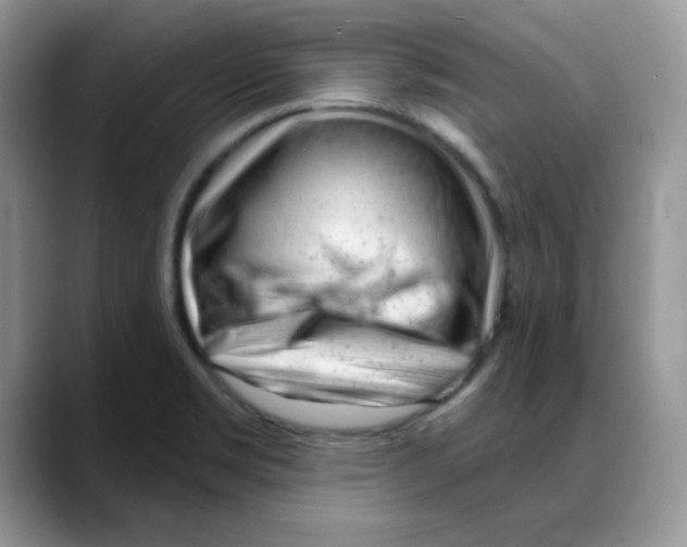 X0000088041469200706081559