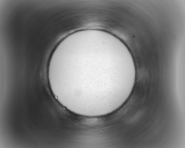 X0000088041470200706081559