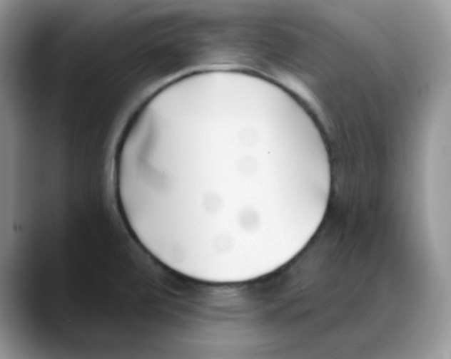 X0000088041472200706081559