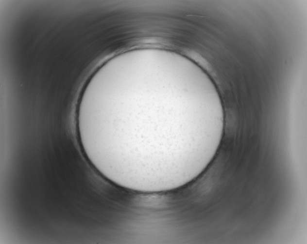 X0000088041474200706081559