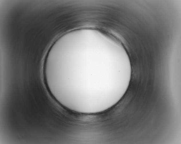 X0000088041475200706081559