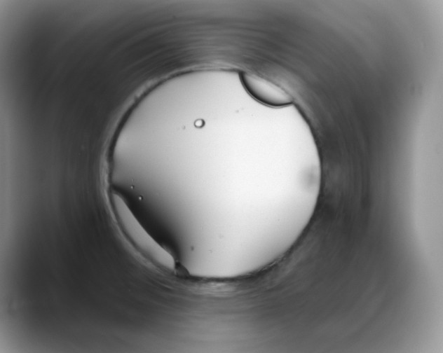 X0000088041476200706081559